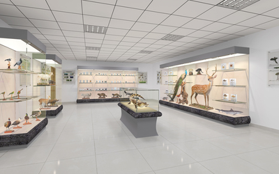 中學(xué)標(biāo)本館